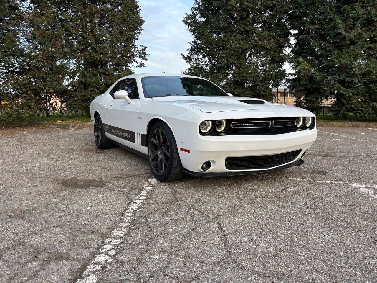 Dodge Challenger Challenger 3.6 V6  309cv at8