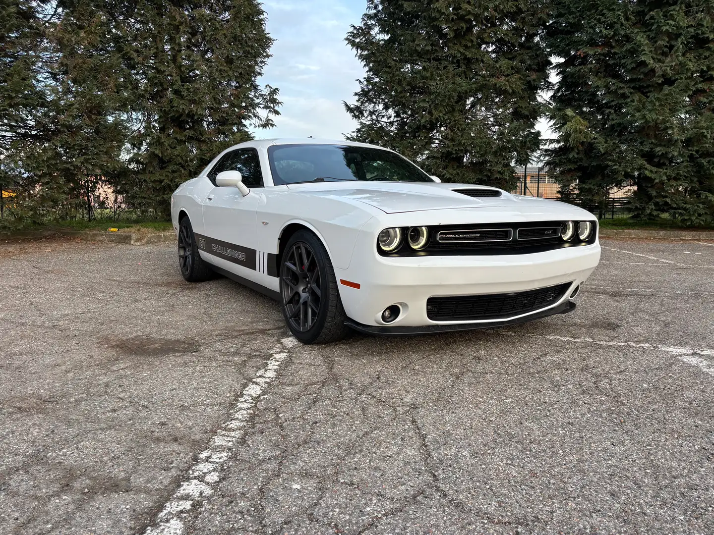 Dodge Challenger Challenger 3.6 V6 GT Plus awd 309cv at8 Bianco - 2