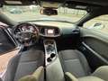 Dodge Challenger Challenger 3.6 V6 GT Plus awd 309cv at8 Bianco - thumbnail 11