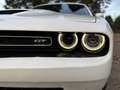 Dodge Challenger Challenger 3.6 V6 GT Plus awd 309cv at8 Bianco - thumbnail 1