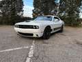 Dodge Challenger Challenger 3.6 V6 GT Plus awd 309cv at8 Blanc - thumbnail 23