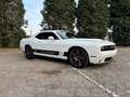 Dodge Challenger Challenger 3.6 V6 GT Plus awd 309cv at8 Bianco - thumbnail 6