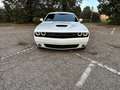 Dodge Challenger Challenger 3.6 V6 GT Plus awd 309cv at8 Blanc - thumbnail 22