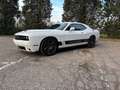Dodge Challenger Challenger 3.6 V6 GT Plus awd 309cv at8 Bianco - thumbnail 4