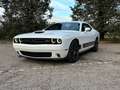 Dodge Challenger Challenger 3.6 V6 GT Plus awd 309cv at8 Blanc - thumbnail 24