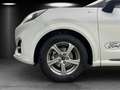 Ford Puma ST-Line MHEV NAVI Kamera Winter Paket PDC Weiß - thumbnail 14