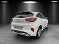 Ford Puma ST-Line MHEV NAVI Kamera Winter Paket PDC Weiß - thumbnail 5