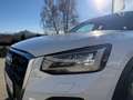 Audi Q2 35 TDI quattro S-tronic *VERKAUFT* Weiß - thumbnail 8