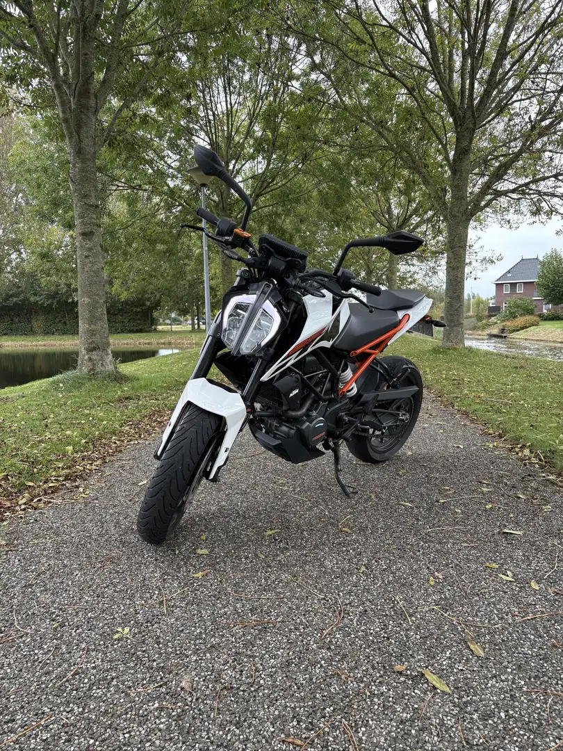 KTM 125 Duke Wit - 1