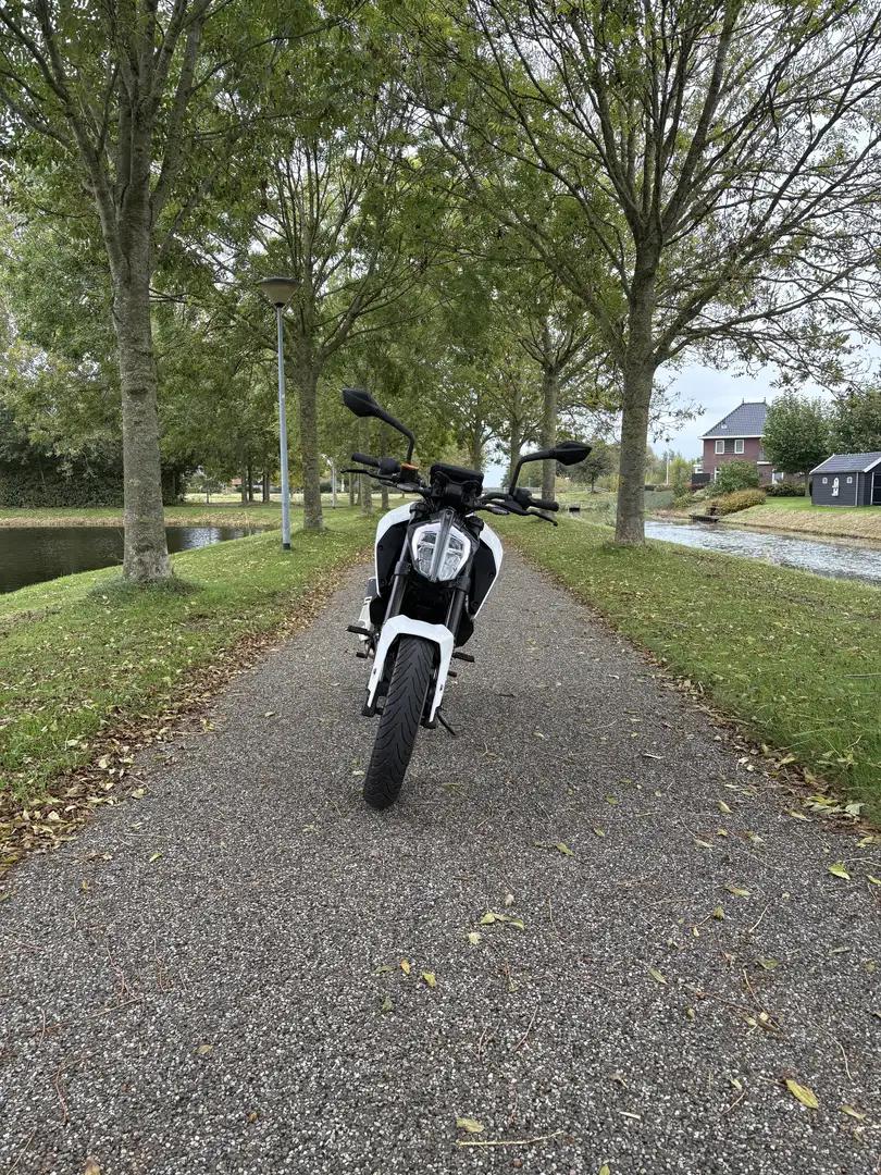 KTM 125 Duke Wit - 2
