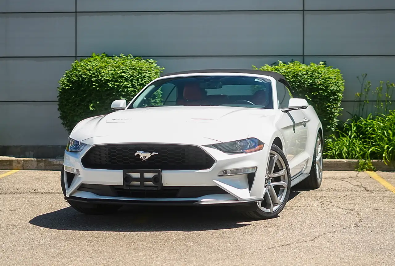 2019 Ford Mustang