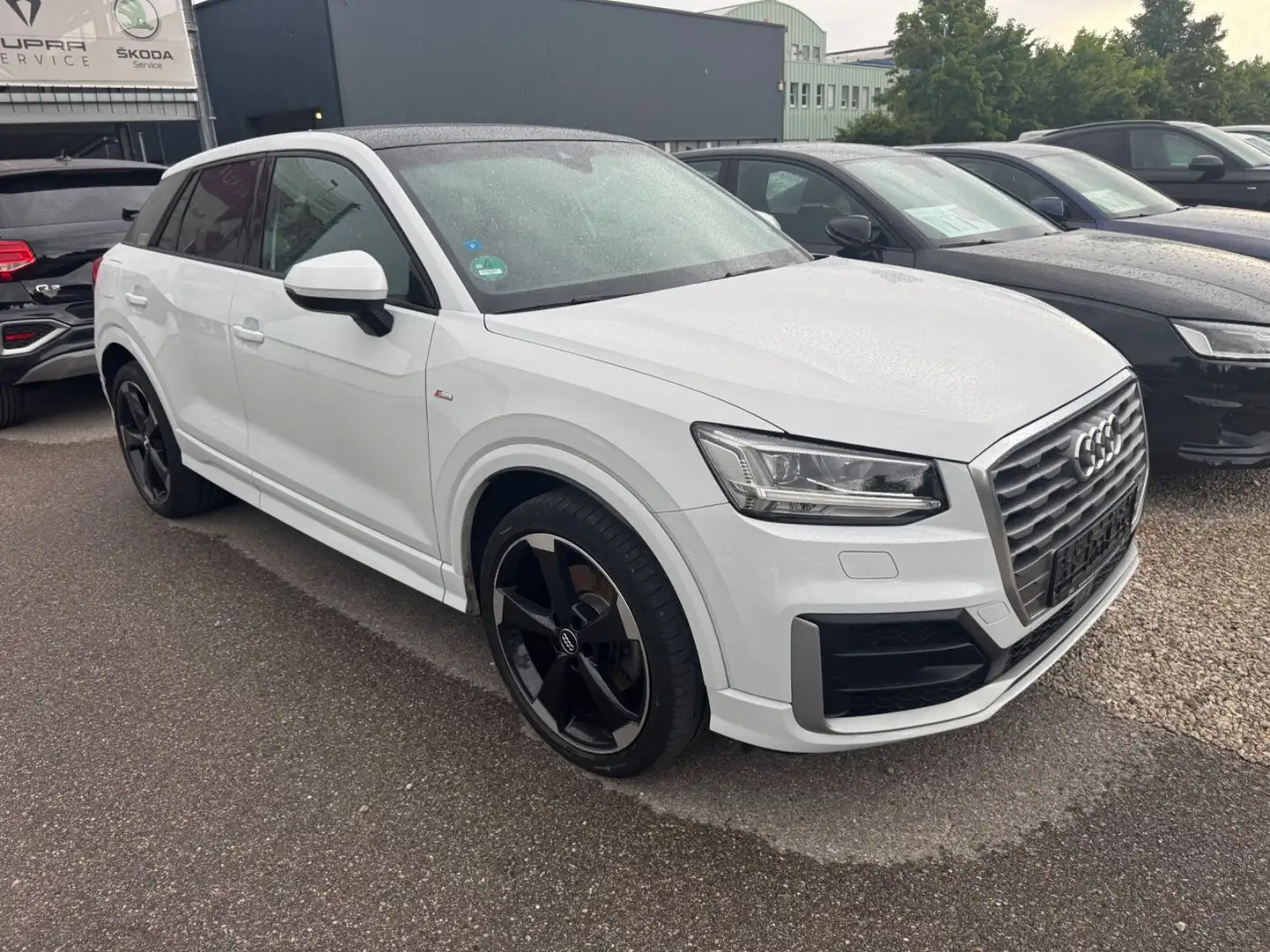 Audi Q2 sport S-line Panorama ACC Blanc - 2