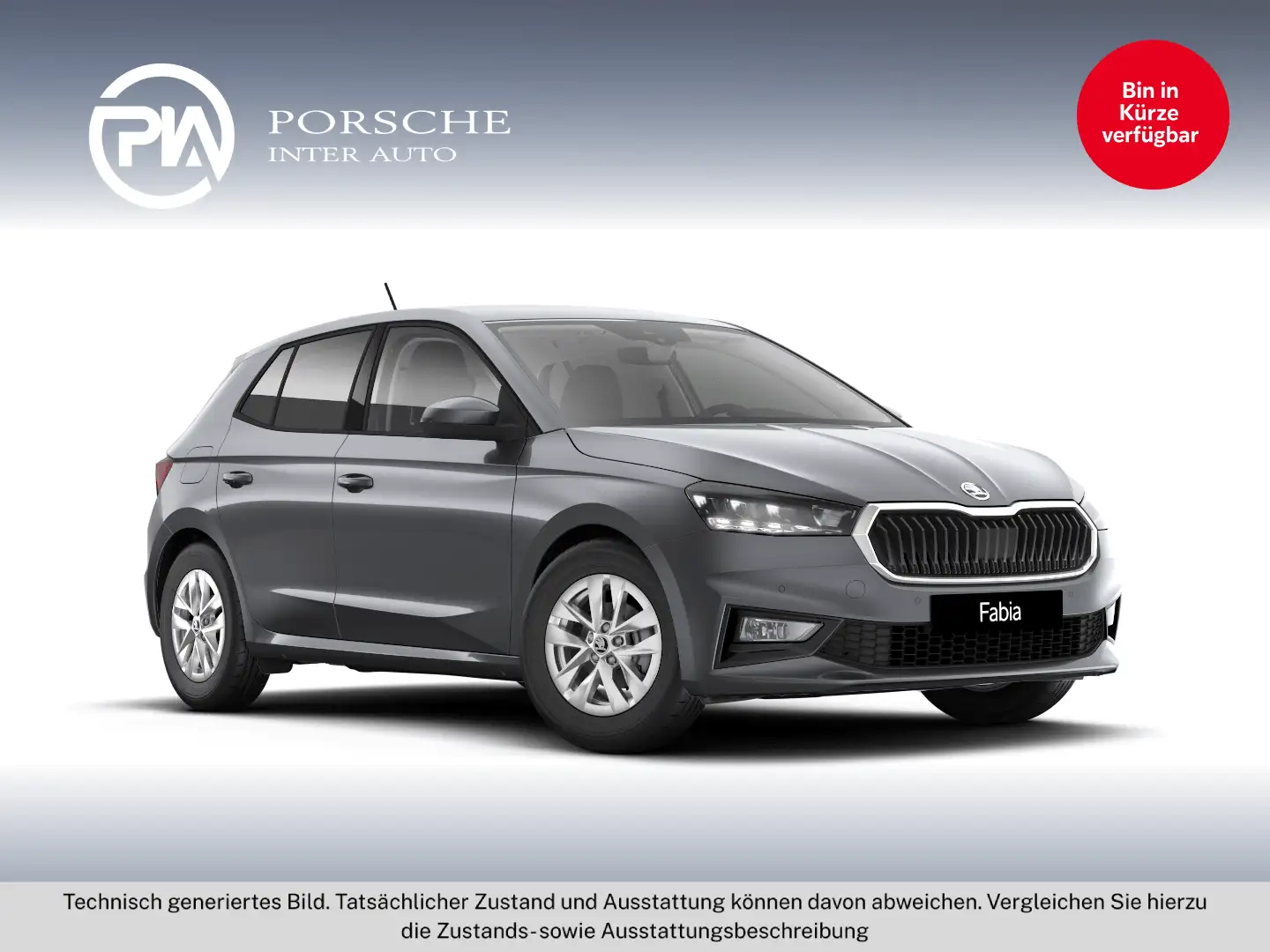 Skoda Fabia Selection TSI Grau - 1