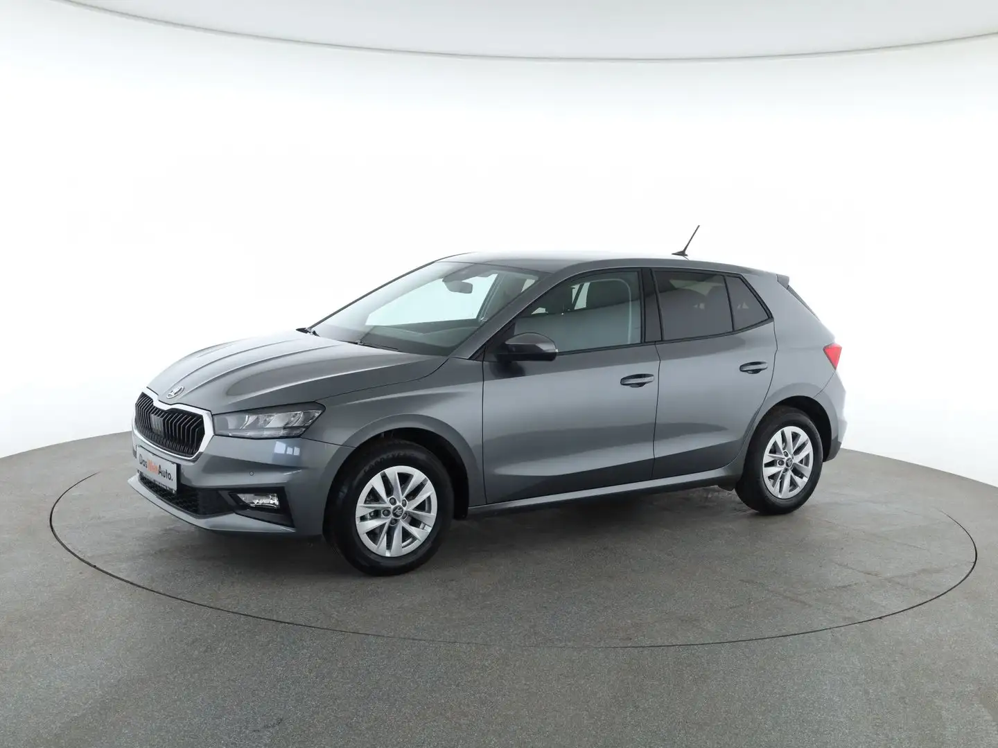 Skoda Fabia Selection TSI Grau - 1