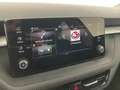 Skoda Fabia Selection TSI Grau - thumbnail 24