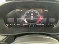 Skoda Fabia Selection TSI Grau - thumbnail 22
