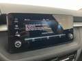 Skoda Fabia Selection TSI Grau - thumbnail 30