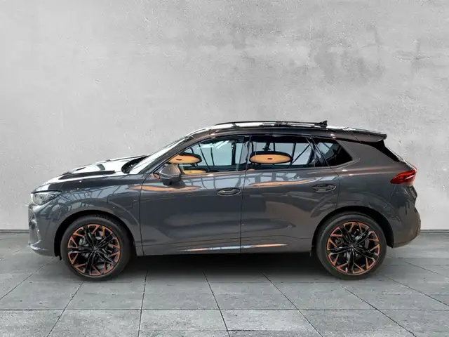 Cupra Terramar view 2