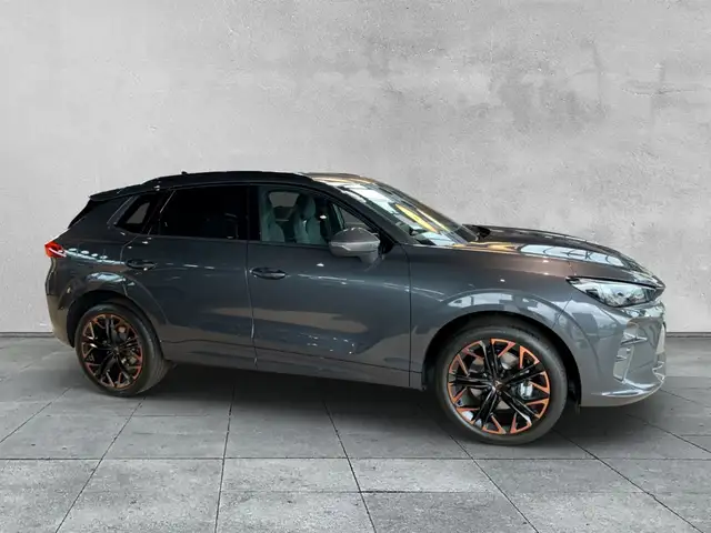 Cupra Terramar view 6