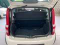 Fiat Panda 1.2 4x4 Climbing Wit - thumbnail 16