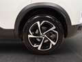 Citroen C5 Aircross Aircross 2.0 BlueHDi Shine Weiß - thumbnail 20