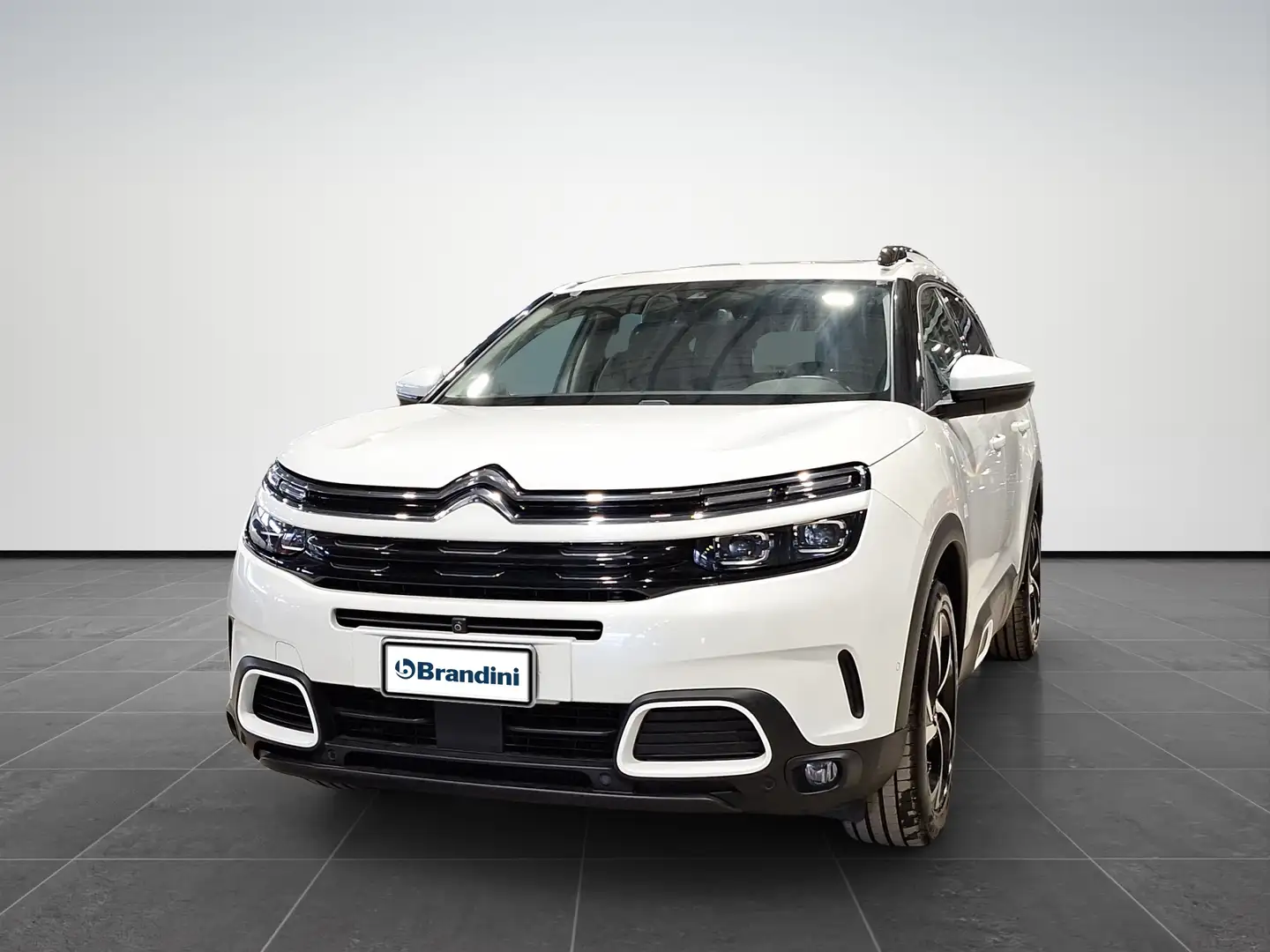 Citroen C5 Aircross Aircross 2.0 BlueHDi Shine Weiß - 1