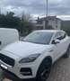 Jaguar E-Pace 2.0d i4 mhev SE 4wd 163cv auto Bianco - thumbnail 8