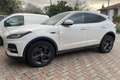 Jaguar E-Pace 2.0d i4 mhev SE 4wd 163cv auto Bianco - thumbnail 2