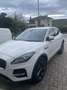 Jaguar E-Pace 2.0d i4 mhev SE 4wd 163cv auto Blanc - thumbnail 1