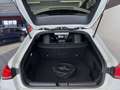 Mercedes-Benz CLA 250 CLA 250e Shooting Brake*AMG Paket*MBUX*Multibeam Weiß - thumbnail 19