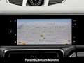 Porsche Panamera 4 E-Hybrid InnoDrive HD LED Sitzbelüftung Verde - thumbnail 17