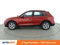 Audi Q5 35 TDI Aut.*NAVI*LED*ACC*PDC*SHZ* Rot - thumbnail 3
