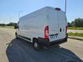 Fiat Ducato 35 2.3 MJT 130CV L3H2 Furgone Bílá - thumbnail 11