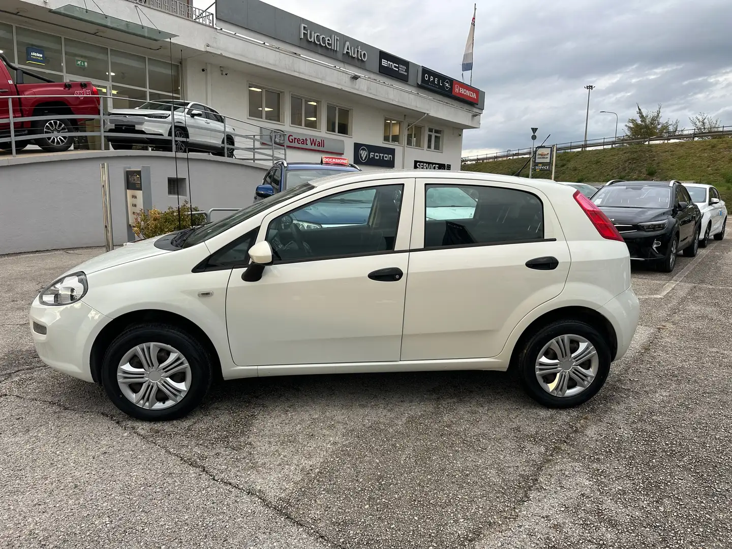 Fiat Punto 5p 1.4 natural power Street 70cv E6 Weiß - 2