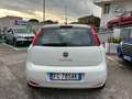 Fiat Punto 5p 1.4 natural power Street 70cv E6 Weiß - thumbnail 4