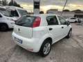 Fiat Punto 5p 1.4 natural power Street 70cv E6 Weiß - thumbnail 5