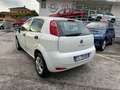 Fiat Punto 5p 1.4 natural power Street 70cv E6 Weiß - thumbnail 3
