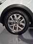 Kia Sportage CRDI VGT 1.7d 116cv EURO 6 Tagliandi ufficiali Weiß - thumbnail 8