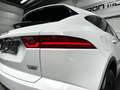 Jaguar E-Pace D150 AWD S AUT*LEDER*CAMER*DAB*CAREPLAY*CC*LIKENEW Bianco - thumbnail 8