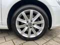 Volkswagen Golf VI Cabrio 2.0 TDI LIFE 2.HD SHZ NAV PDC 17" Weiß - thumbnail 6