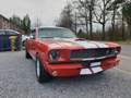 Ford Mustang Fastback Shelby GT350  Tribute / Schaltgetriebe Rood - thumbnail 9