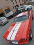 Ford Mustang Fastback Shelby GT350  Tribute / Schaltgetriebe Rood - thumbnail 5