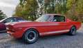 Ford Mustang Fastback Shelby GT350  Tribute / Schaltgetriebe Rood - thumbnail 1