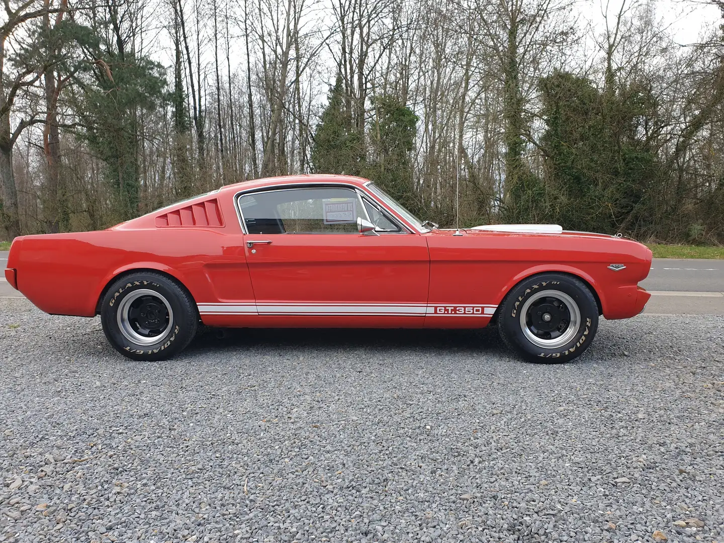 Ford Mustang Fastback Shelby GT350  Tribute / Schaltgetriebe Rouge - 2