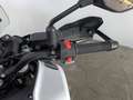Benelli 702 abs E5 Bianco - thumbnail 7