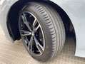 BMW Z3 M 318d sDrive Touring150cv Sport Grau - thumbnail 29
