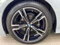 BMW Z3 M 318d sDrive Touring150cv Sport Grau - thumbnail 28