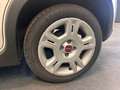 Fiat Panda Panda III 1.0 firefly hybrid s PREZZO REALE! Bianco - thumbnail 17