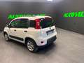 Fiat Panda Panda III 1.0 firefly hybrid s PREZZO REALE! Bianco - thumbnail 8