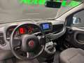 Fiat Panda Panda III 1.0 firefly hybrid s PREZZO REALE! Bianco - thumbnail 10